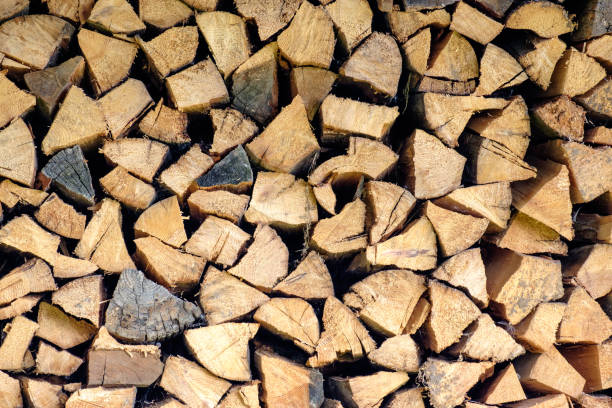 istock Firewood stacked in a woodpile 866272398