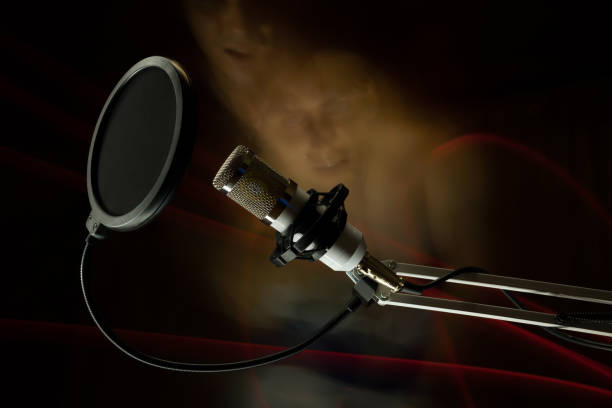 istock Professional condenser studio microphone on the black background and faces 866276142