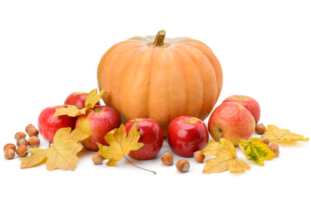 istock Pumpkin, apples and hazel isolated on white background 866276978