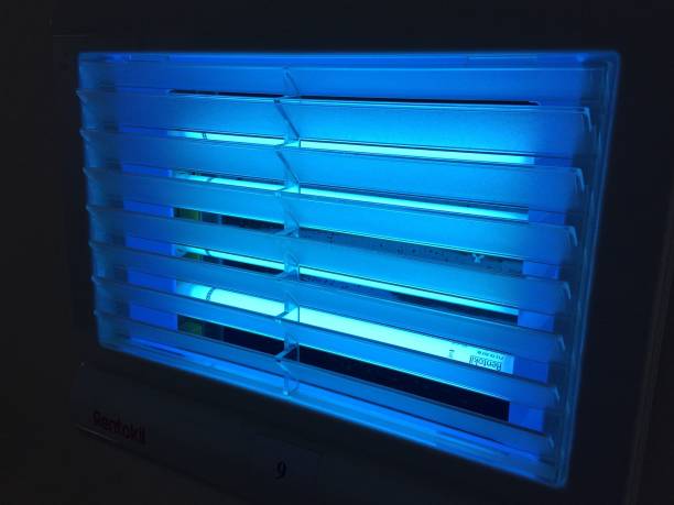 light Insect trap in the dark corner.