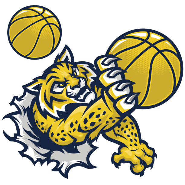 ilustrações de stock, clip art, desenhos animados e ícones de wildcat basketball - bobcat wildcat undomesticated cat animal
