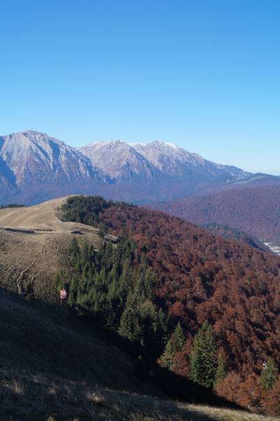 View from the Baiului Mountains (1700m-1800m), Azuga, Prahova, Romania (Baiului Mountains)
