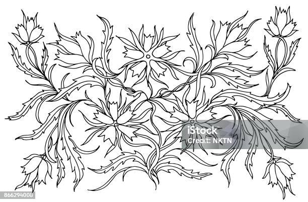 Background With Flowers And Plants Black And White Doodle Vector Illustration Coloring Book For Adult And Older Children Coloring Page Outline Drawing Stock Illustration - Download Image Now