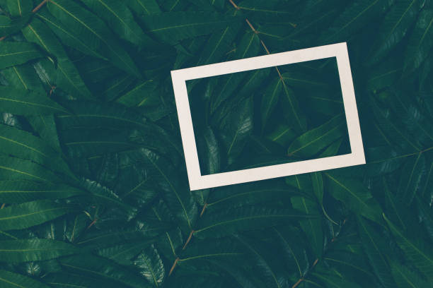 istock Creative layout made of green leaves with white frame. Top view, flat lay. 866297748