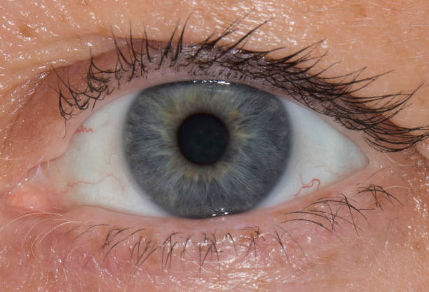 istock close up of human eye 866298052