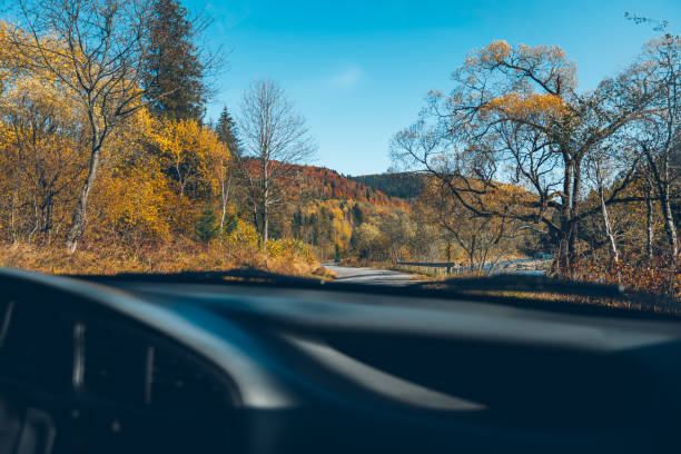 istock woman driving car in carpathian mountains 866298326