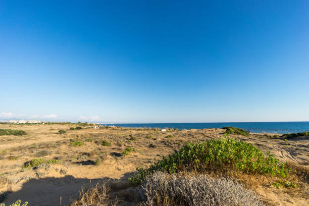 istock sunset over a beach on a warm day 866298654