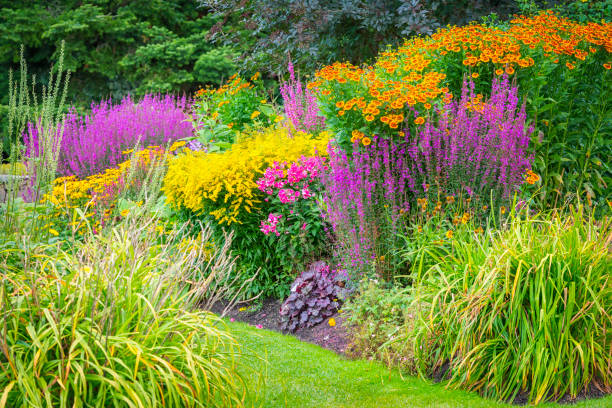 istock Flowerbeds in ornamental garden 866302086