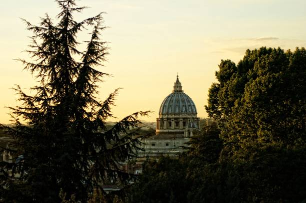 View of St. Peter 's - Rome San Pietro from Gianicolo - Roma (Italy) bitetto stock pictures, royalty-free photos & images