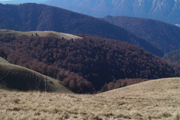 istock View from the Baiului Mountains (1700m-1800m), Azuga, Prahova, Romania (Baiului Mountains) 866307026