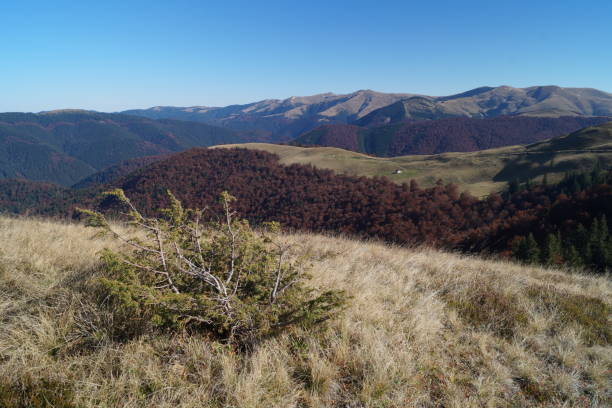istock View from the Baiului Mountains (1700m-1800m), Azuga, Prahova, Romania (Baiului Mountains) 866307048