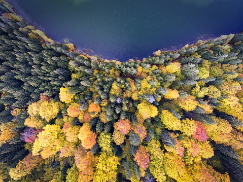 Vista aérea de un lago y un bosque en otoño photo