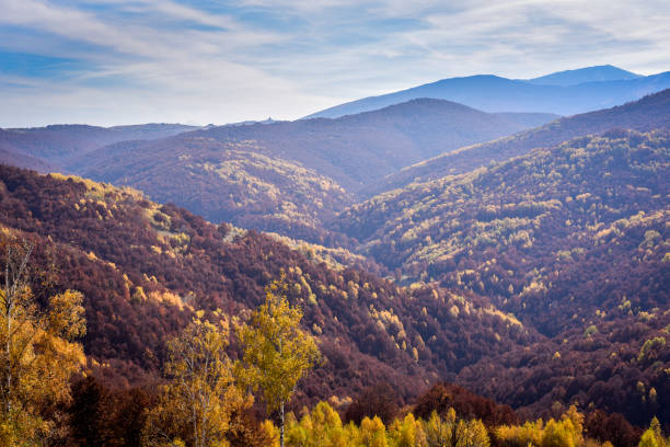 istock Autumn leaves and trees on a mountain 866310014