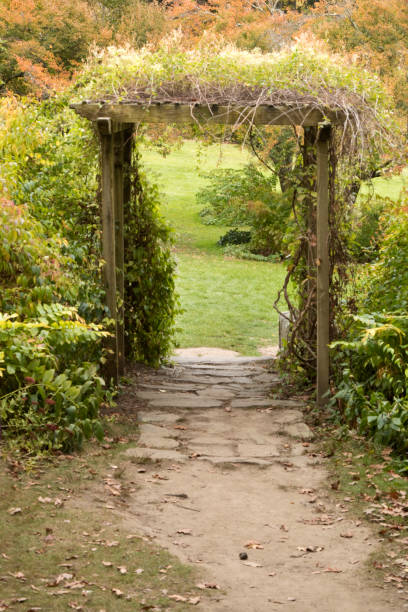 istock Outdoor trellis with dirt pathway in public park 866310072