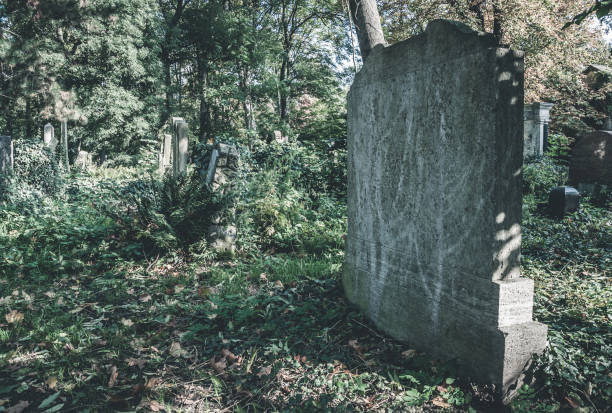 istock Ancient entombement on the cemetery before Helloween 866310620