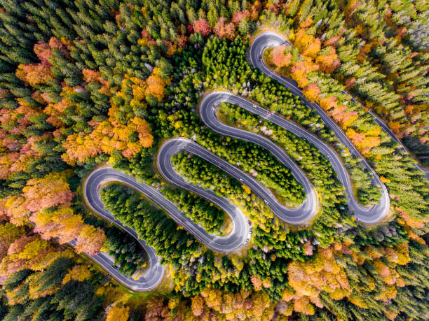 istock Autumn in the Forest Winding Road Aerial View 866311096