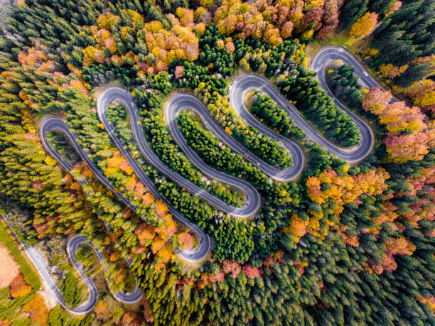 istock Winding Highway trough the forest in Autumn 866311160