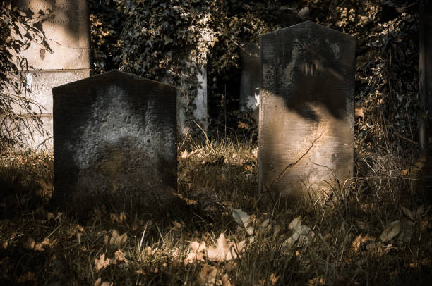 istock Ancient entombement on the cemetery before Helloween 866313080
