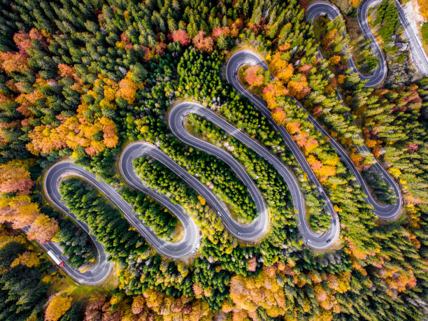 istock Roadtrip in the Forest in Autumn 866313276