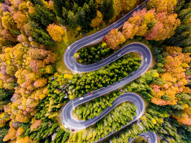 istock Winding Road surrounded by a colourfull trees in the forest 866313350