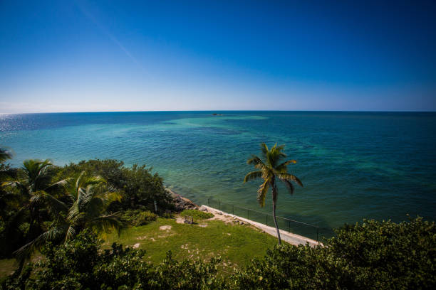 istock Tropical seaside view and torquoise sea 866315008