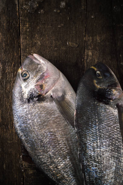 istock Fresh fish dorado on the on the wooden table. Top view with copy space 866315178