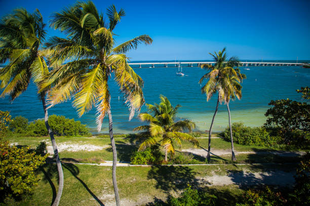 istock Tropical seaside view and torquoise sea 866317344
