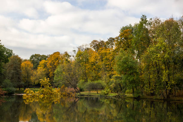 istock autumn colors in the park 866317402