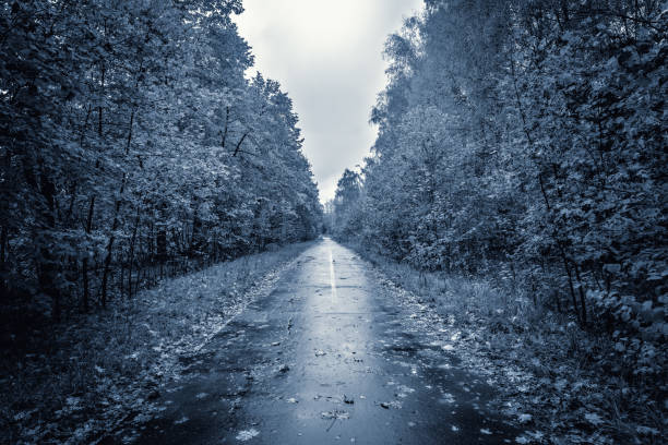 Evening view of the road in the old city park.
