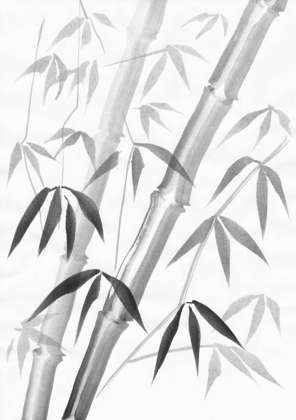 Bamboo painting with light leaves vector art illustration