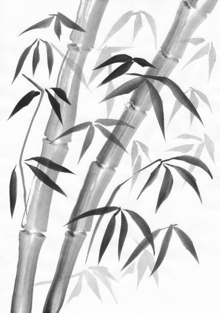 Bamboo with a couple of stalks vector art illustration