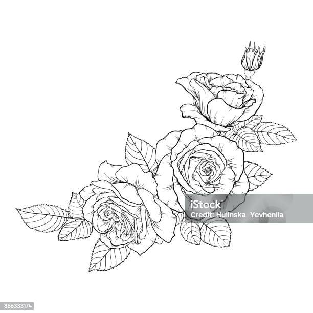 Beautiful Black And White Bouquet Rose And Leaves Floral Arrangement Isolated On Background Design Greeting Card And Invitation Of The Wedding Birthday Valentine S Day Mother S Day Holiday Stock Illustration - Download Image Now