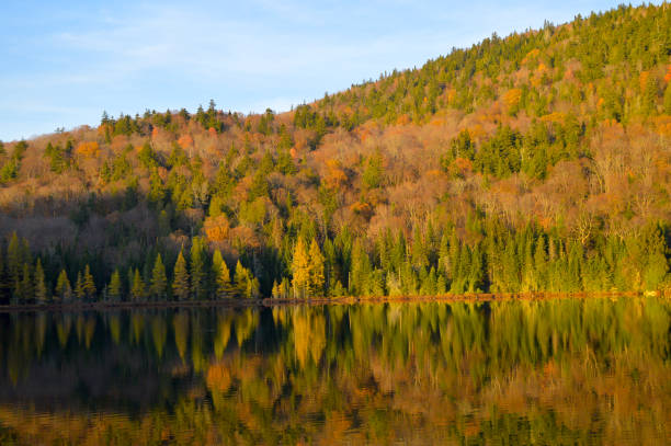 istock Mont Tremblant National Park in fall 866340268