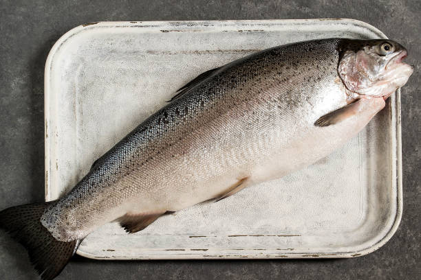 istock Large fresh salmon on old white tray 866344108