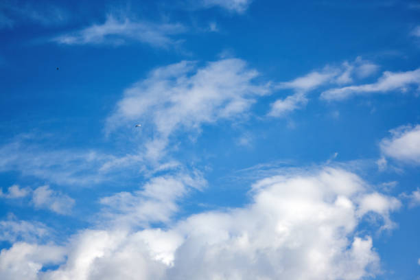 istock Birds soar in the blue summer sky 866346960