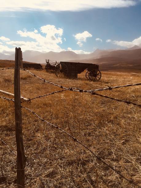 sul de alberta, canadá, paisagem da pradaria, rancho terra, montanhas rochosas, cerca de arame farpado - alberta prairie farm fence - fotografias e filmes do acervo