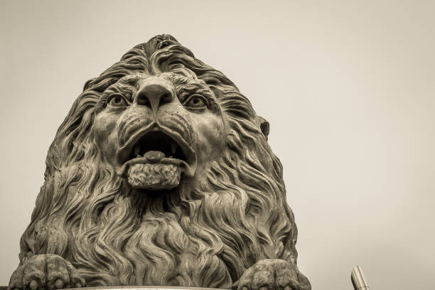 scultura della testa del leone - lion statue london england trafalgar square foto e immagini stock