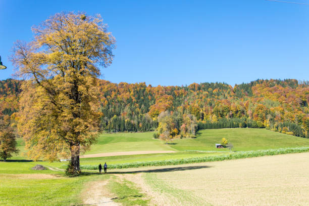 Idyllic and rural scenery, Styria on a day in autumn, Austria