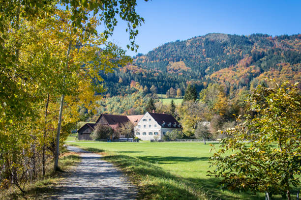 Idyllic and rural scenery, Styria on a day in autumn, Austria