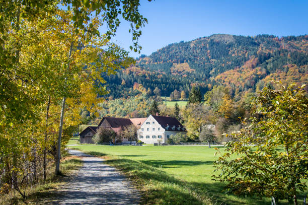 Idyllic and rural scenery, Styria on a day in autumn, Austria stock photo