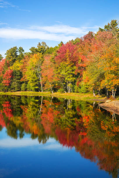 istock Autumn foliage reflections in pond on a sunny fall day in New England 866367876