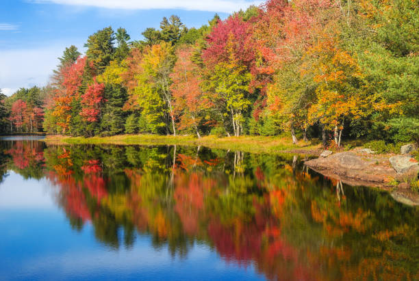 istock Autumn foliage reflections in pond on a sunny fall day in New England 866367944