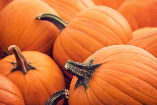 istock Pie pumpkins for sale in autumn 866370520