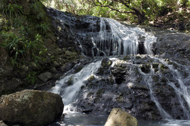 카레 캐스케이드 뉴질랜드 - karekare falls 뉴스 사진 이미지