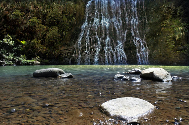 ângulo baixo de karekare falls - karekare falls - fotografias e filmes do acervo