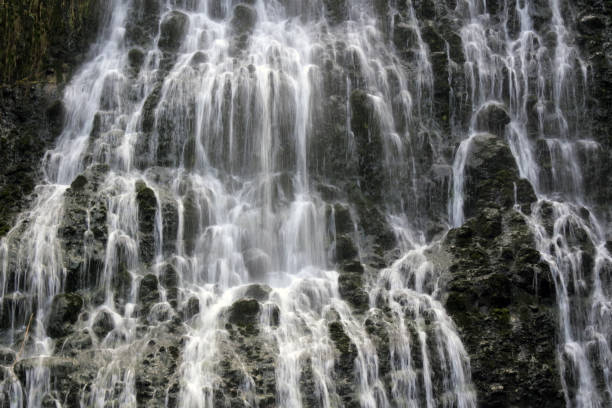 água caindo na cachoeira de karekare nova zelândia - karekare falls - fotografias e filmes do acervo