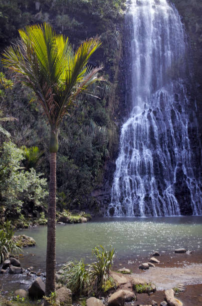 visão vertical de karekare falls, nova zelândia - karekare falls - fotografias e filmes do acervo