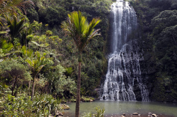 paisagem geral de karekare falls, nova zelândia - karekare falls - fotografias e filmes do acervo