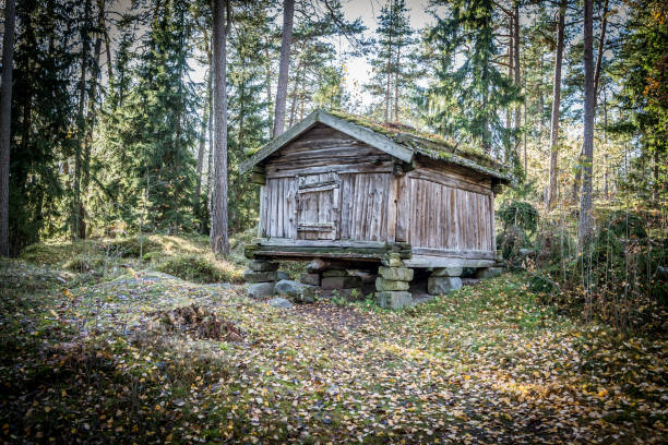 istock A hut in forest, old hut and vintage hut 866375080