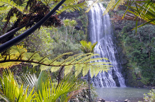 Karekare Falls as seeing through native bush of New Zealand stock photo